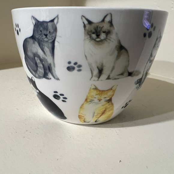 Cat Lover mug. Absolutely beautiful and is new and unused. Perfect gift! - Picture 2 of 7